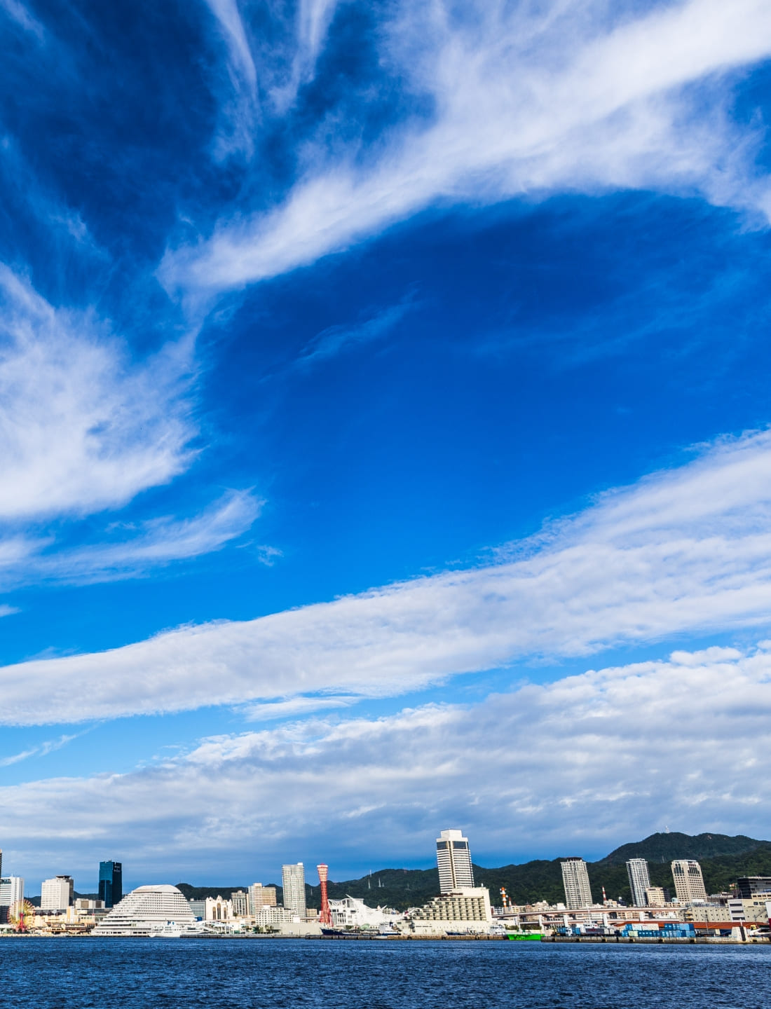青空が広がる晴天の下、海沿いに広がる都市のビル群と山々が背景に見える景色。